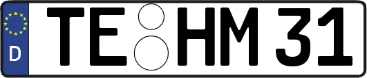 TE-HM31