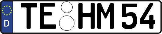 TE-HM54