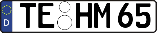 TE-HM65