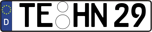 TE-HN29