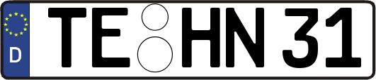 TE-HN31
