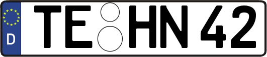 TE-HN42