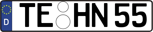 TE-HN55