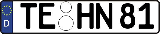 TE-HN81