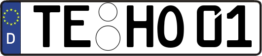 TE-HO01