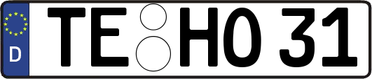 TE-HO31