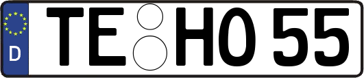 TE-HO55