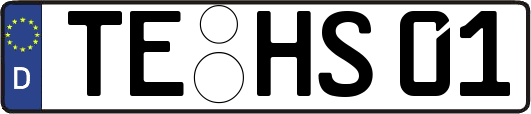 TE-HS01