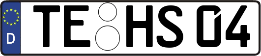 TE-HS04