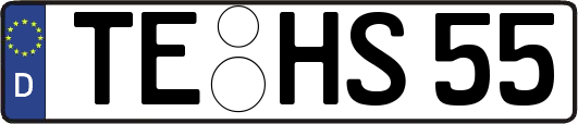 TE-HS55
