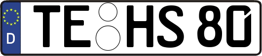 TE-HS80