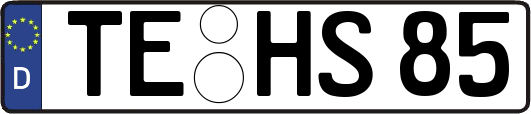 TE-HS85