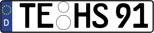 TE-HS91