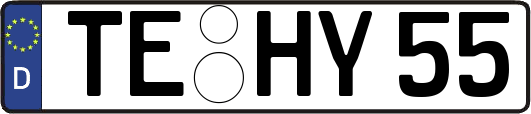 TE-HY55