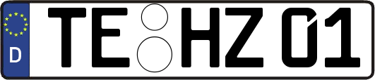 TE-HZ01