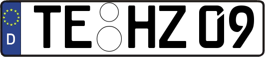 TE-HZ09