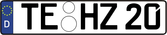 TE-HZ20