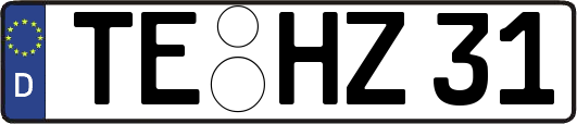 TE-HZ31