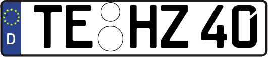 TE-HZ40