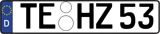 TE-HZ53