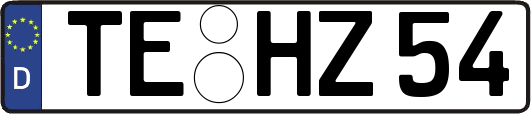 TE-HZ54