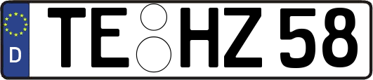 TE-HZ58