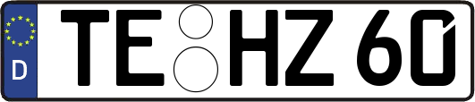 TE-HZ60