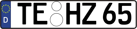 TE-HZ65