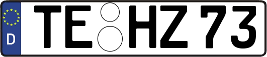 TE-HZ73