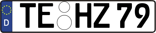 TE-HZ79
