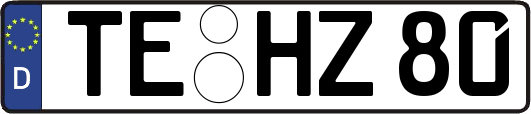 TE-HZ80