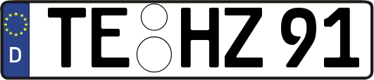 TE-HZ91