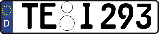 TE-I293