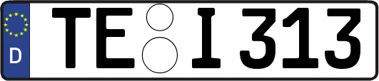 TE-I313