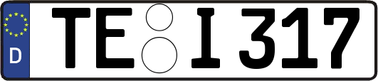TE-I317