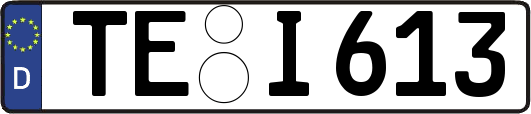 TE-I613