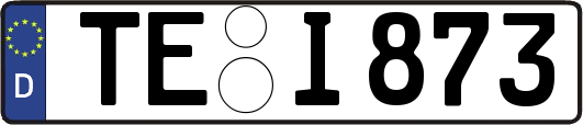 TE-I873