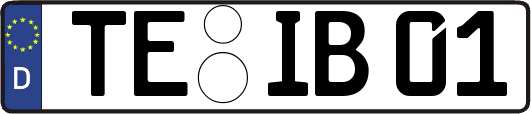 TE-IB01