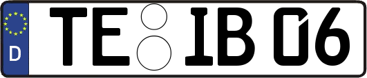 TE-IB06