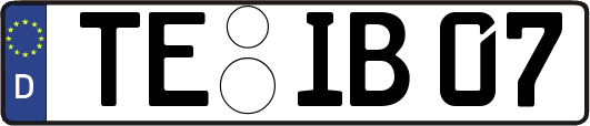 TE-IB07