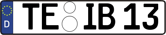 TE-IB13