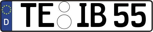 TE-IB55