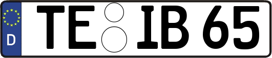 TE-IB65