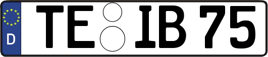 TE-IB75