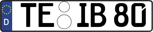 TE-IB80