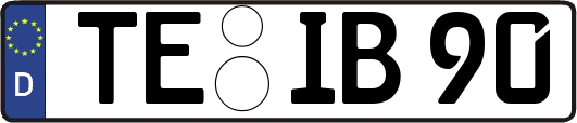 TE-IB90