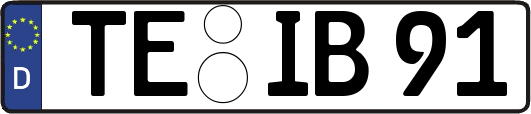 TE-IB91