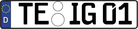 TE-IG01