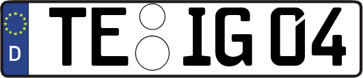 TE-IG04