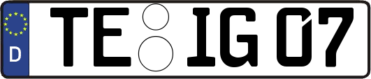 TE-IG07